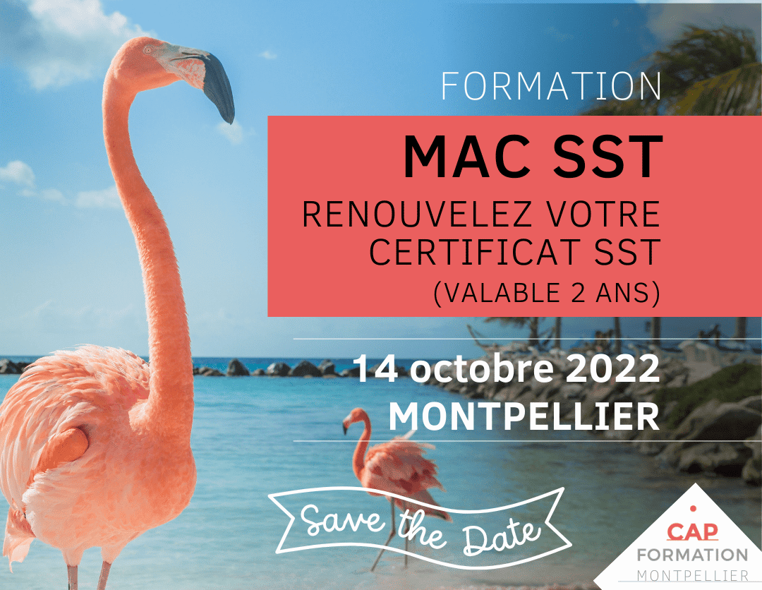 Formation Maintien et actualisation des compétences Sauveteur Secouriste du Travail à Montpellier – 14 octobre 2022